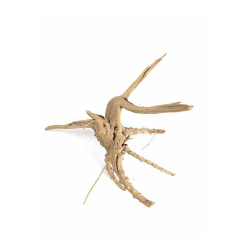 出口窈窕木driftwood栖根小沉木漂流木空气凤梨鱼缸造景杜鹃根