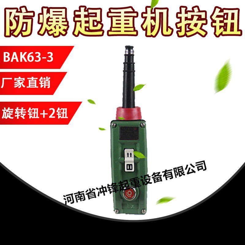 防爆控制手柄BKA63电动葫芦防爆控制手柄按钮防爆手柄防爆电器气