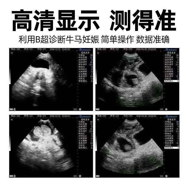 兽用超机清彩超牛马专测孕bb超HIM机手持驴清便携式兽用B超用机