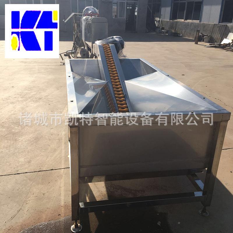 凯机特洗蛋多排蛋清鸡洗销机小型鸭蛋清洗机ITB厂家售鸡蛋洗蛋机
