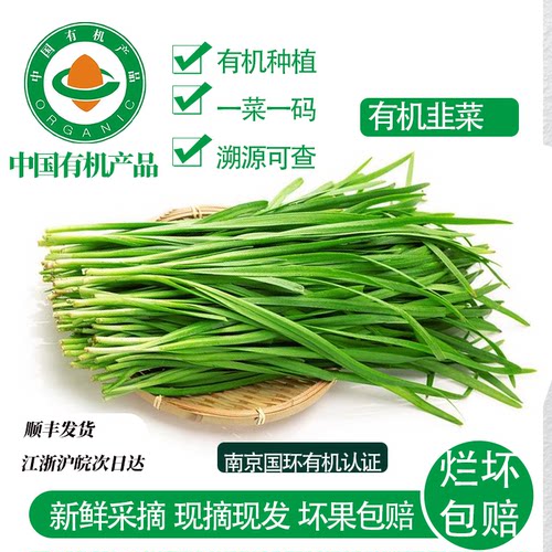 有机认证头茬新鲜现摘韭菜
