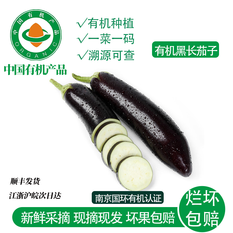 有机黑茄子新鲜蔬菜高营养应季现摘现发花青素蔬菜新鲜直达无公害