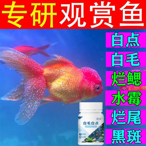 鱼白点病药锦鲤观赏鱼白点净小瓜虫鱼药白点病专用身上长白点速清
