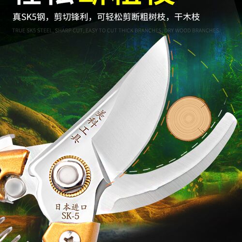 修枝剪园艺剪刀果树剪家用省力修树枝剪子修花工具日本进口园林剪