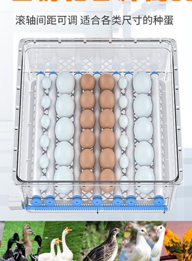 孵蛋器孵化器小型家用孵化机全自动小鸡恒温智能孵化箱鹦鹉芦丁鸡