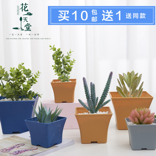 多肉植物塑料花盆多色创意西班牙方盆可配托盘简约透气大小号可选
