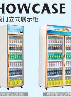 双门冰箱商用双温冷藏冷冻立式保鲜厨房大容量六门冷柜四开门冰柜