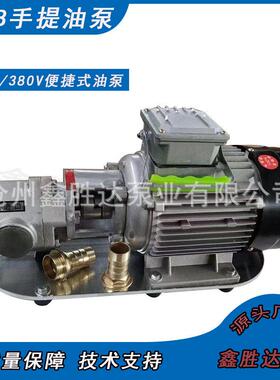 WCB-75/50/30不锈钢手提式式齿轮泵生产厂家220V/380V电压手提泵