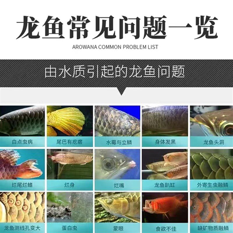 仟湖傲深0号箭虫红龙1号3号4号蒙眼5号立鳞7号黑水素8号维他命9号