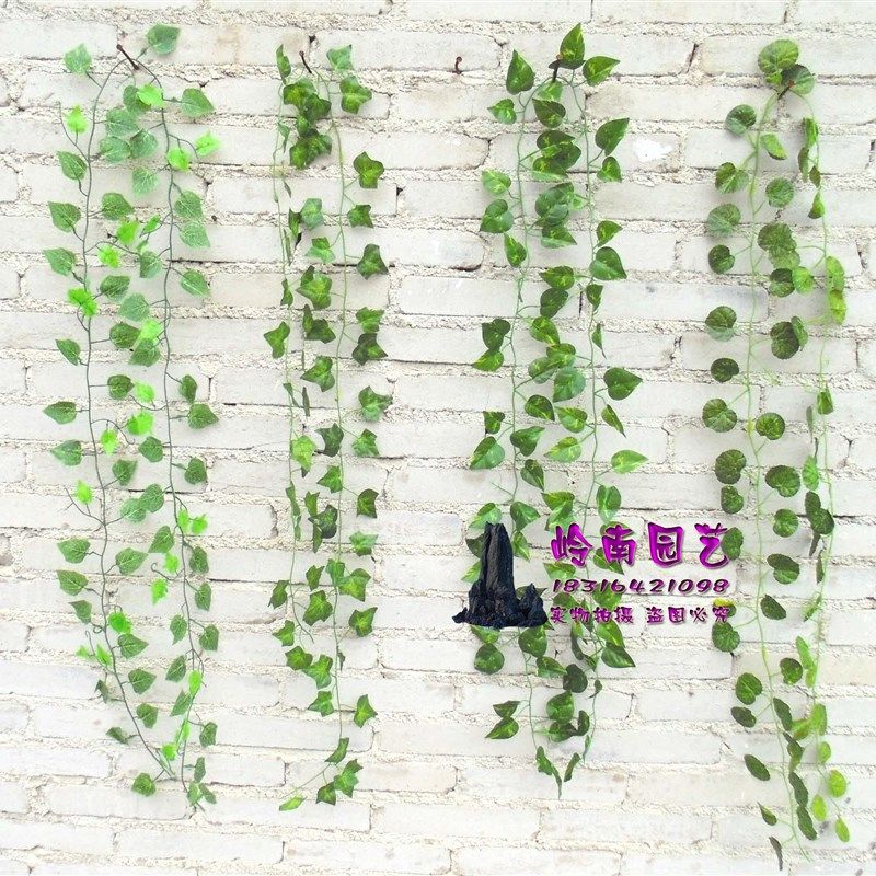 仿真藤条植物绿藤仿真绿萝葡萄叶爬山虎常青藤蔓森林系装饰绿植