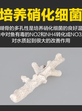 珊瑚骨滤材鱼缸过滤材料大珊瑚石沙鱼池养鱼用品海底砂水族箱造景