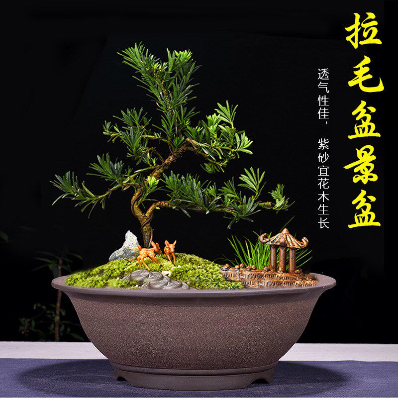 种花花盆树脂长方形花盆加仑花盆防紫砂陶瓷多肉花盆塑料花盆盆景