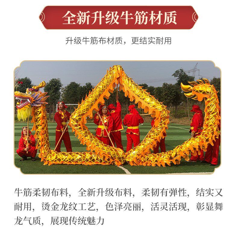龙灯舞龙龙狮醒狮南龙舞龙舞狮道具烫金龙龙灯服装绸缎新款