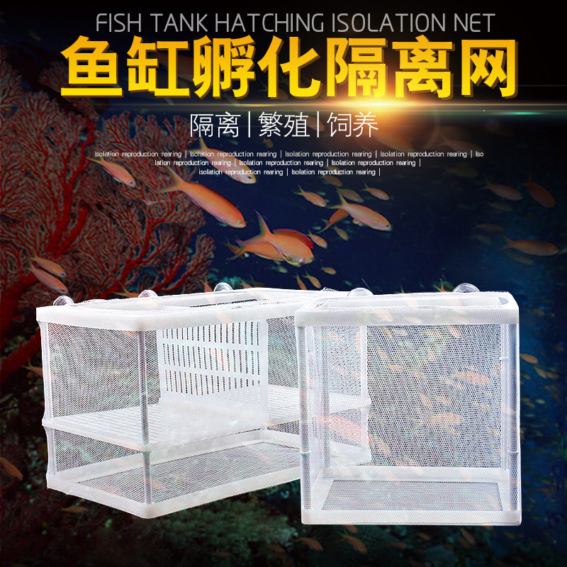 观赏鱼隔离网鱼缸暂养盒产卵网格箱孵化器金鱼小鱼苗分离水中网箱