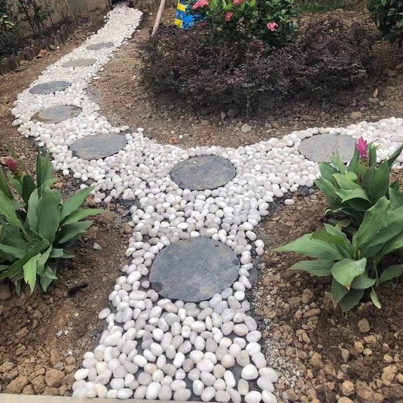 河南白色鹅卵石鱼缸底砂造景庭院花盆铺地石子装饰精抛天然雨水培