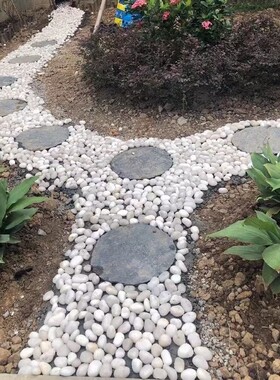 河南白色鹅卵石鱼缸底砂造景庭院花盆铺地石子装饰精抛天然雨水培