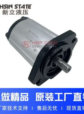 齿轮泵BHP2A0D40C0L3-R/D20/D22/D25/D28/D30/D14/D16/D18C0L3-R