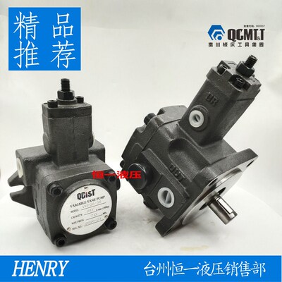 QCIST秦川机床数控油泵VVP15B/20 VVP20B/35 VVP30B/55 VVP40B/70