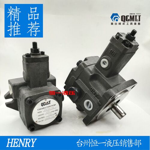 QCIST秦川机床数控油泵VVP15B/20 VVP20B/35 VVP30B/55 VVP40B/70