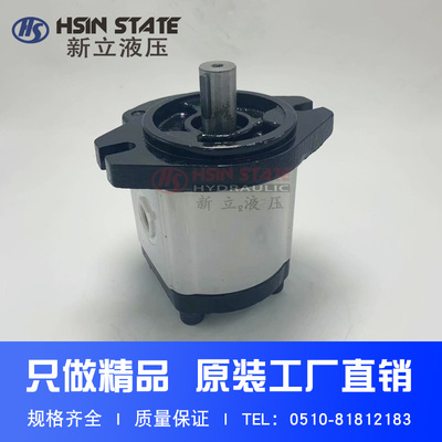 齿轮泵BHP2A0D16C0L1/D1O/D12/D14/D18/D20/D22/D25/D28/D30C0L1