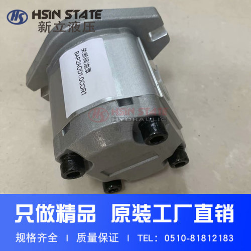 齿轮泵BAP2A0D10C0R1/D12/D14/D16/D18/D20/D22/D25/D28/D30COR1