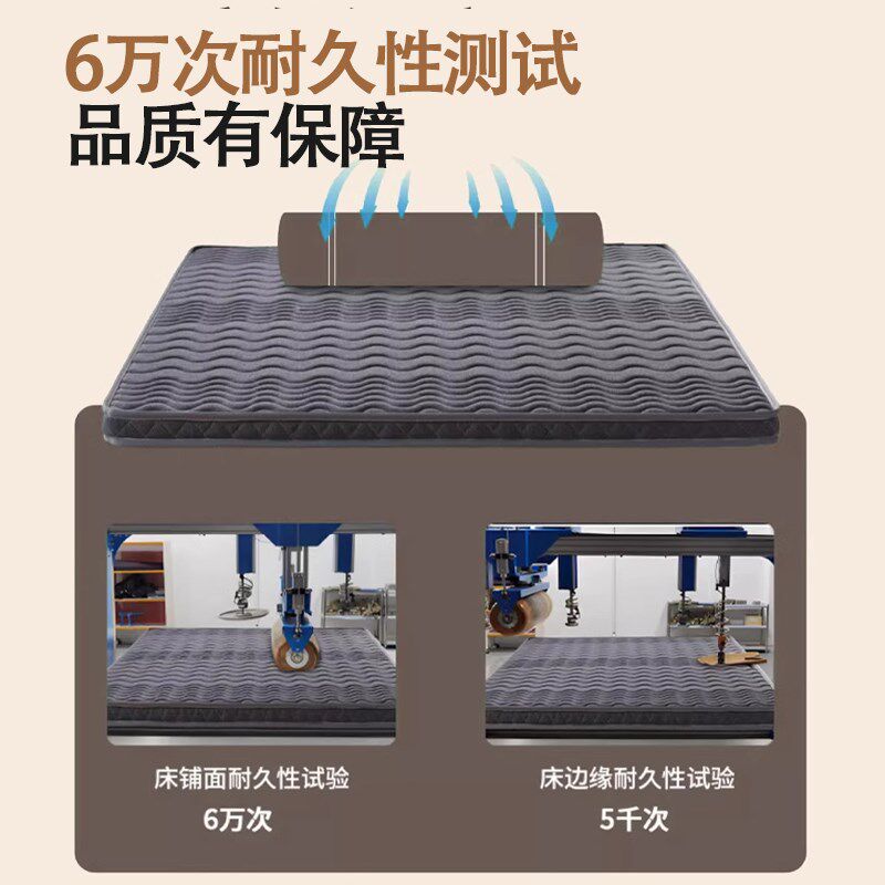椰棕床垫护腰脊加硬神器纯天然粽榈家用儿童薄乳胶10cm可折叠定做