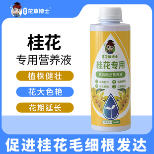 四季室外桂花树专用肥营养液金桂盆栽植物四季通用地栽枯叶干尖