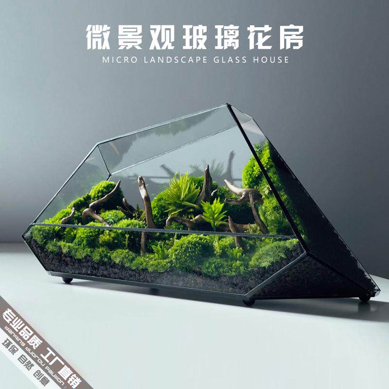 苔藓微景观玻璃生态瓶桌面盆景造景迷你缸水陆青苔雨林小养蒲闷面