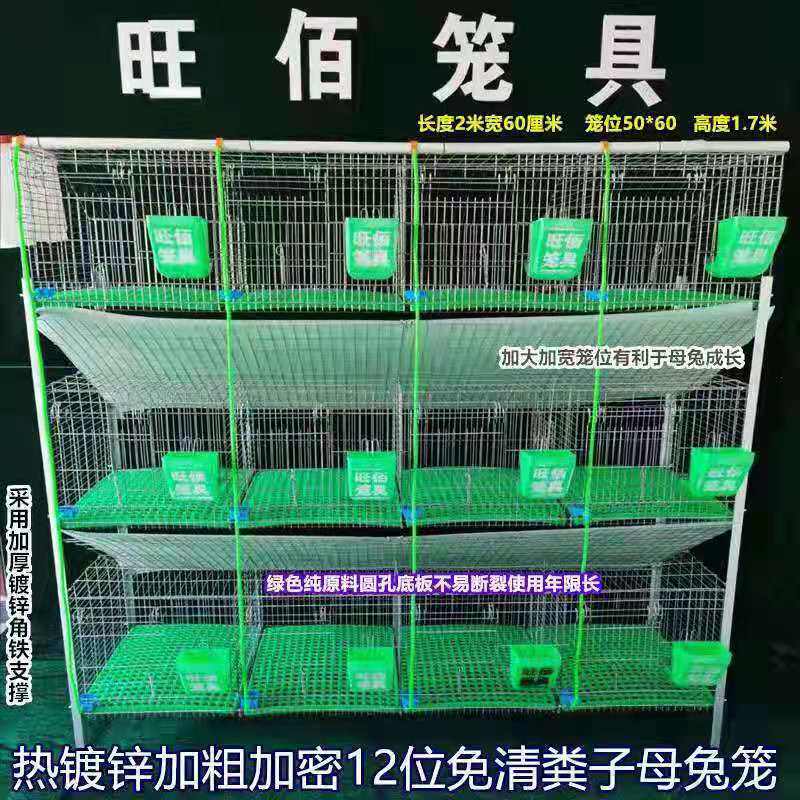 兔笼养殖笼 12位加粗种兔笼子热镀锌免清粪阶梯兔子笼子母笼旺佰