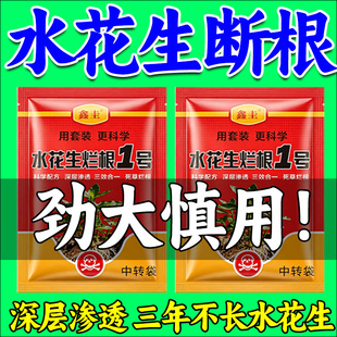 【不反青】水花生专用草根烂剂革命草空心莲子阔叶草强力草除剂
