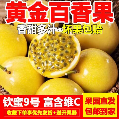 现摘钦蜜9号黄金百香果当季鲜果