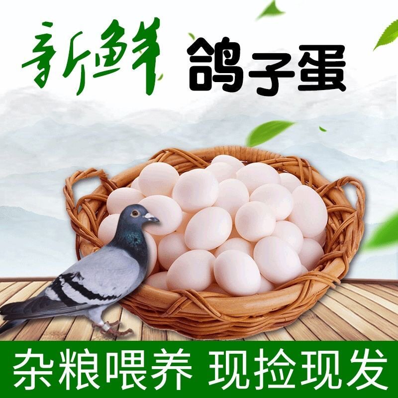 【顺丰包邮】新鲜鸽子蛋农家散养五谷杂粮喂养孕妇宝宝营养辅食
