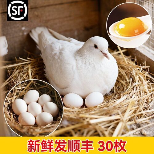 【顺丰包邮】新鲜鸽子蛋农家散养五谷杂粮喂养孕妇宝宝营养辅食