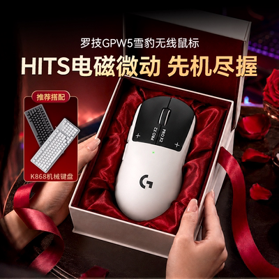 罗技GPW5/HIT5无线电竞鼠标