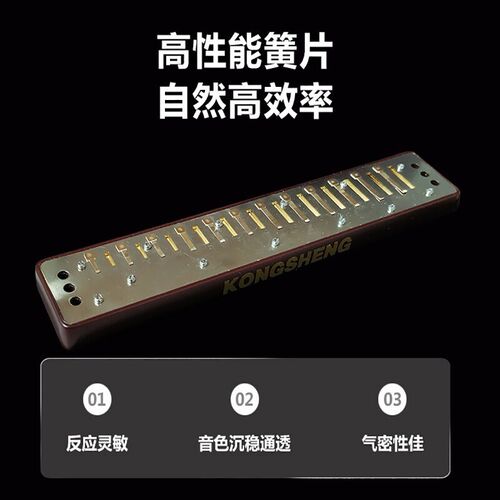 孔声24孔复音口琴NO.2420可定制小调特殊调12调齐全演奏练习口琴