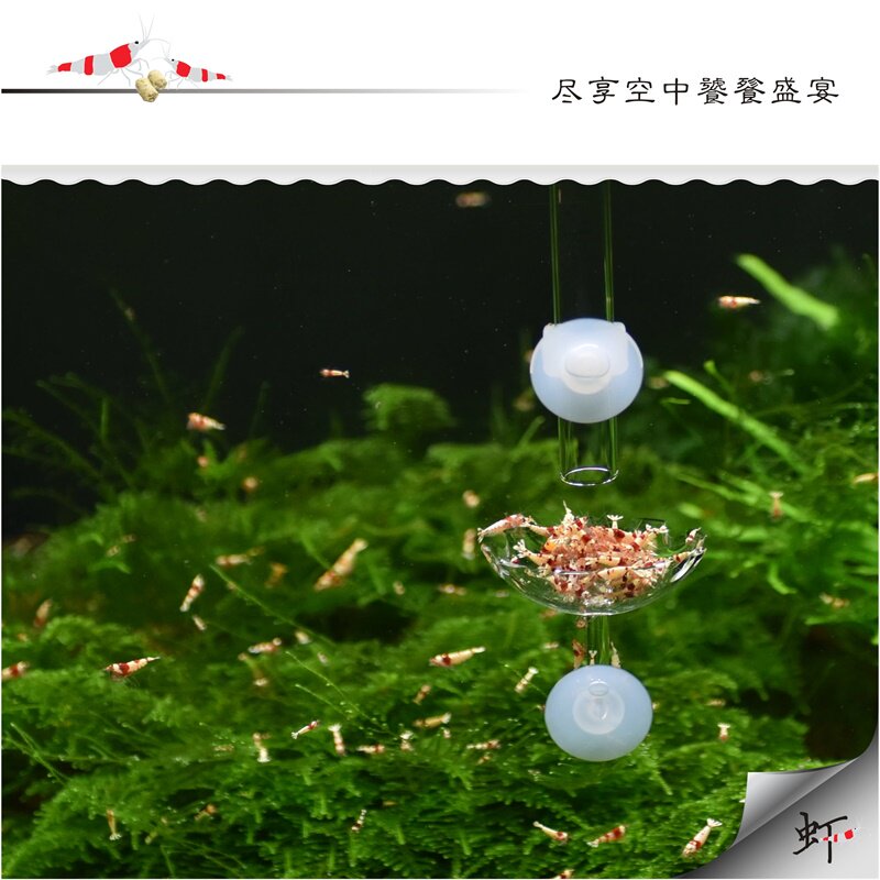 投食管鱼缸喂食管水晶虾玻璃观赏鱼投食料器圈水晶虾缸虾粮专用盆