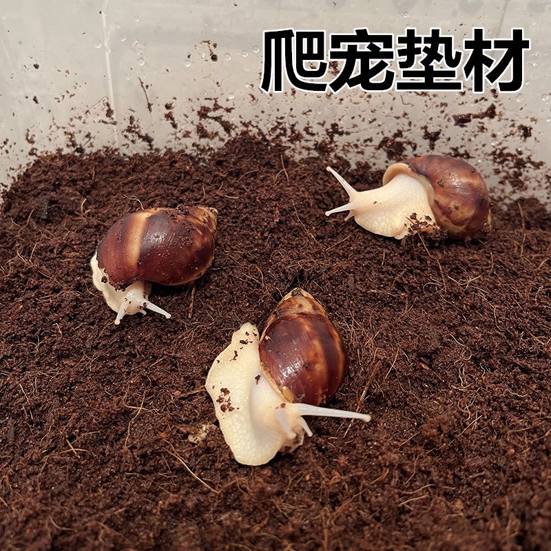 无菌椰土垫材乌龟冬眠用品蜘蛛蝎子爬虫角蛙蜗牛保湿免泡直接用