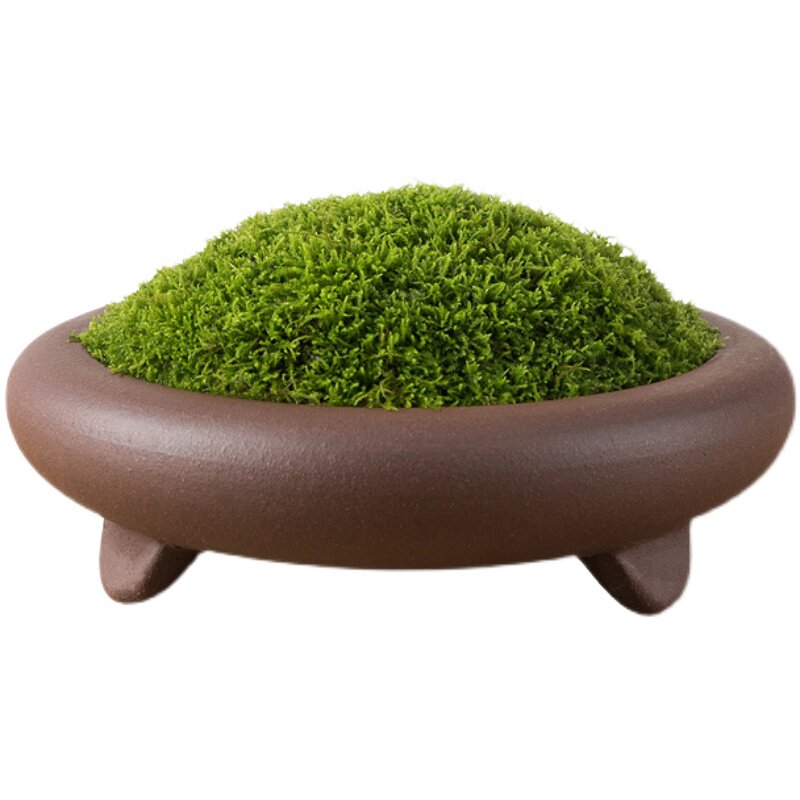 简约浅盆花盆青苔绿植卷柏菖蒲陶瓷多肉圆形室内桌面花器盆景白色