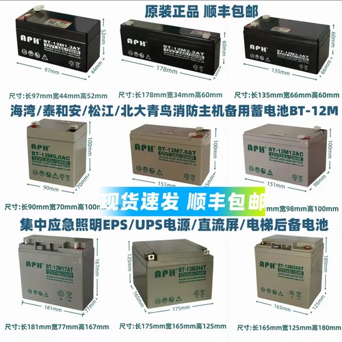 海湾GST泰和安松江天成利达消防主机蓄电池UPS应急备用12V24AH