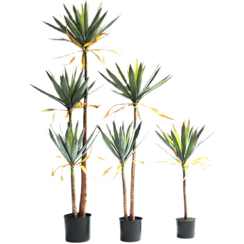 仿真凤尾丝兰树植物热带沙漠假绿植大型落地盆景橱窗室内装饰摆件