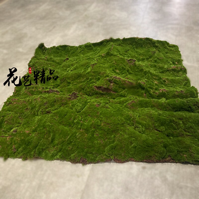 青苔仿真永生苔藓绿植装饰品植物墙草皮草坪假山造景绿植毛石头片