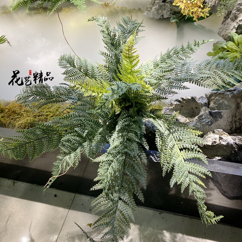 铁线蕨波斯草排草植物墙配材插花装饰山草仿真草波士顿蕨羊齿蕨草