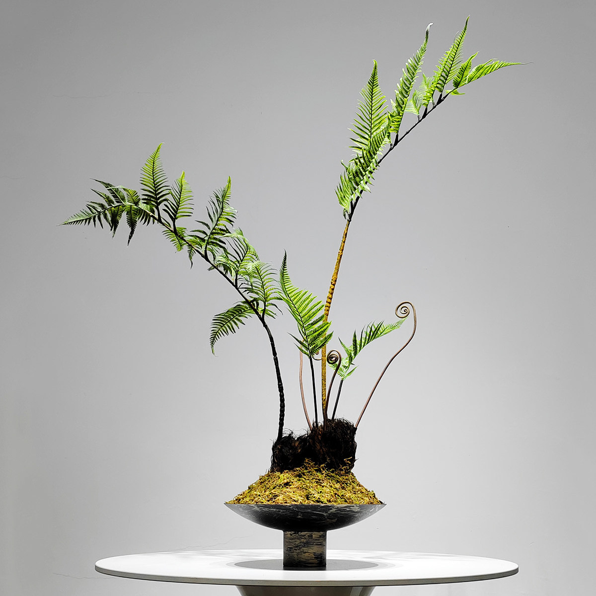 侘寂风仿真金丝猴蕨花艺绿植造景陶瓷花盆禅意茶室大茶桌样板房间