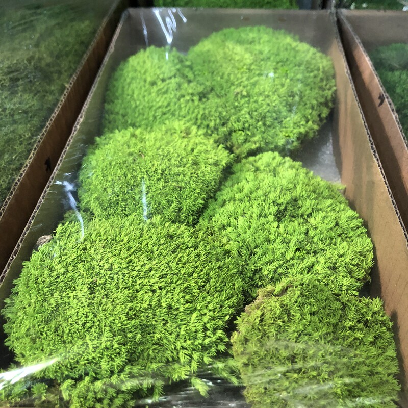 青苔 永生苔藓绿植装饰品 毛石头植物墙 花盆装饰假山造景diy绿植