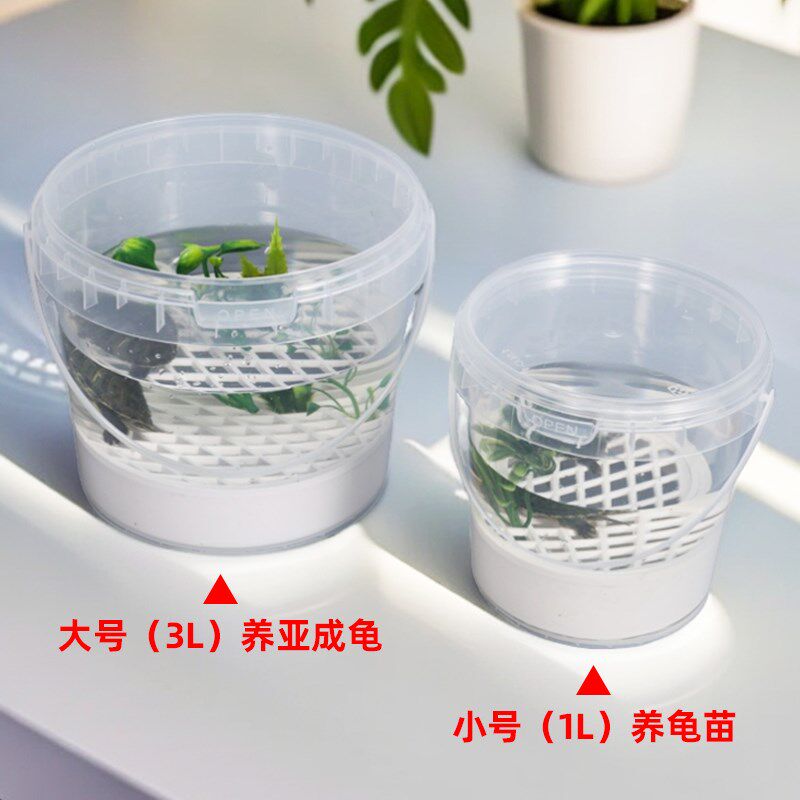小金鱼透明塑料桶小水桶养龟桶乌龟隔离盒发色饲养盒蚯蚓养殖桶