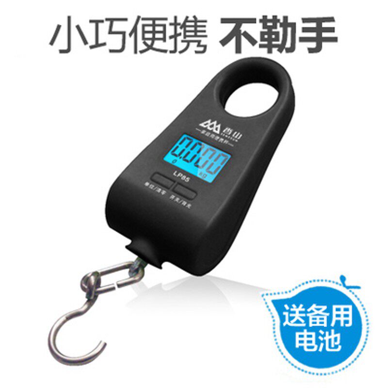 威衡精准称重电子称手提秤便携式迷你高精度快递称手提弹簧秤50kg