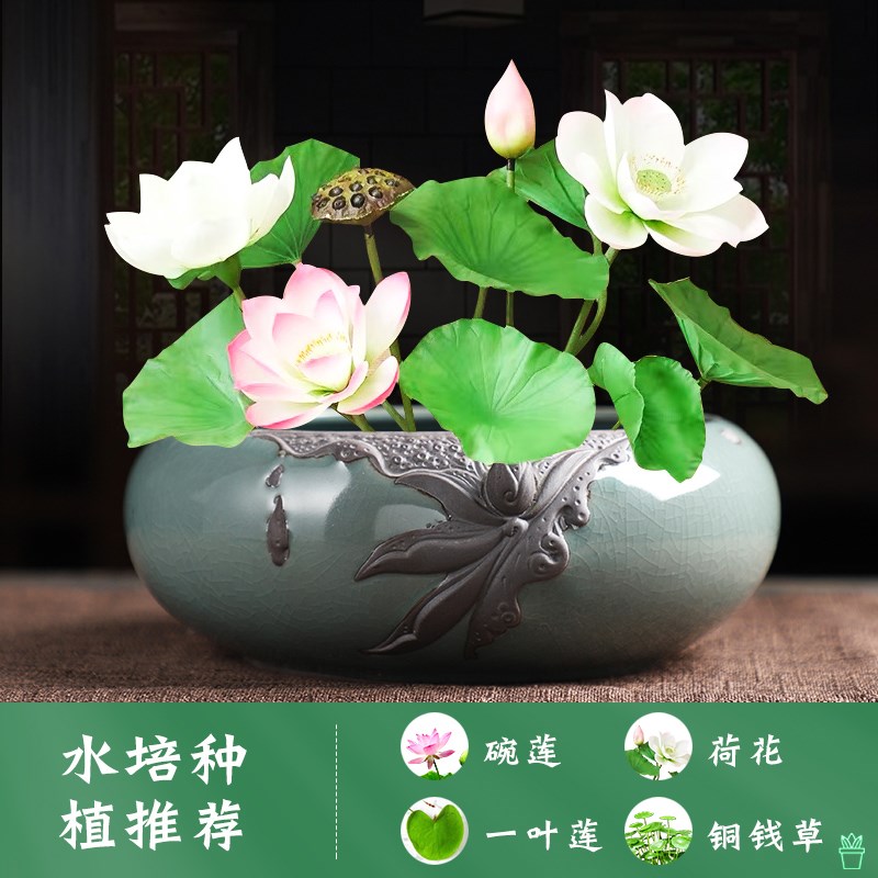 精品复古哥窑水培花盆陶瓷桌面白掌绿植盆栽大号铜钱草睡莲专用盆