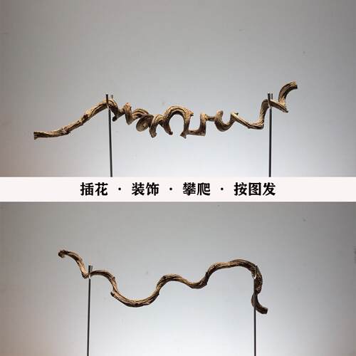 天然过江软龙藤禅插花装装饰干树枝摆件意爬宠RSS攀条爬弯曲树枝