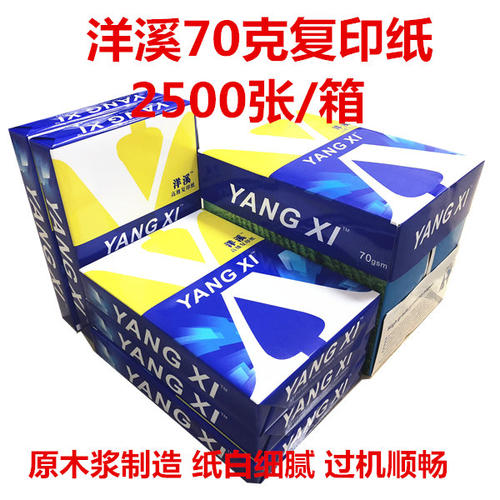 海龙a4复印纸打印纸70克 80克整箱白纸500张A4玖龙5包 天章办公a4