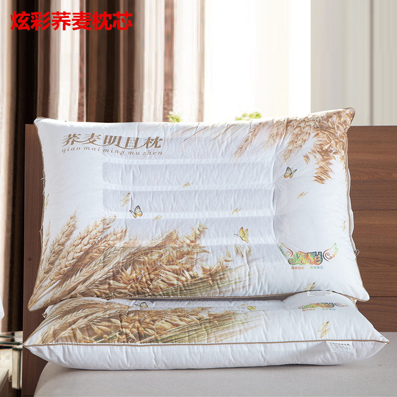 炫彩决明子护颈助眠枕头一对荞麦薰衣草枕芯成人家用学生保健整芯